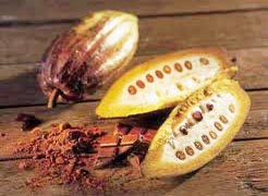 kakaonun faydası nedir kakao nelere iyi gelir kakaonun sağlık açısından yararları