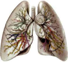 akciğer hastalıkları