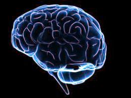 ensefalit nedir beyin sakatlığı beyin hastalığı